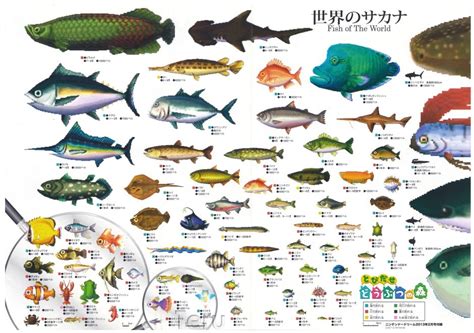 List of fish in New Leaf .